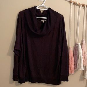 Express sweater
